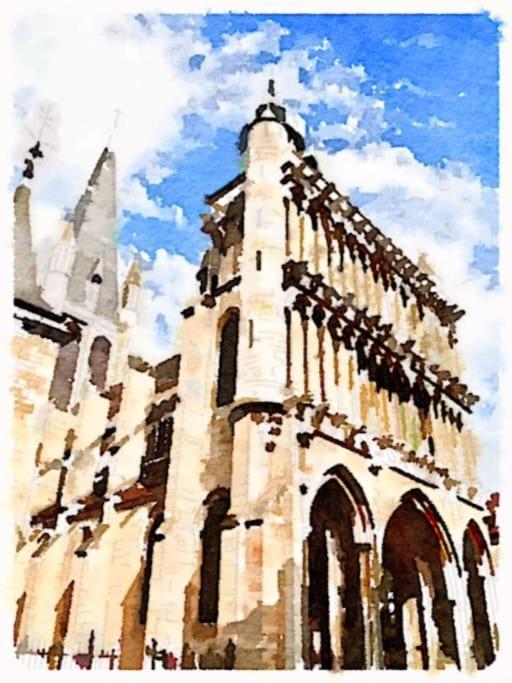 Apartamento Charming Flat In Historical Centre Dijon Exterior foto
