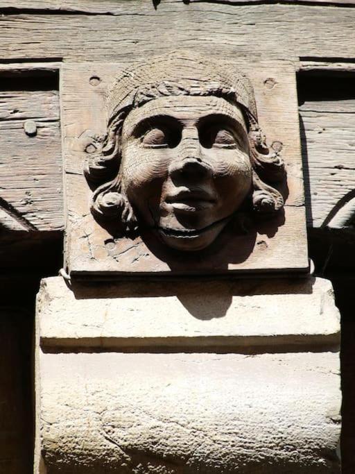 Apartamento Charming Flat In Historical Centre Dijon Exterior foto